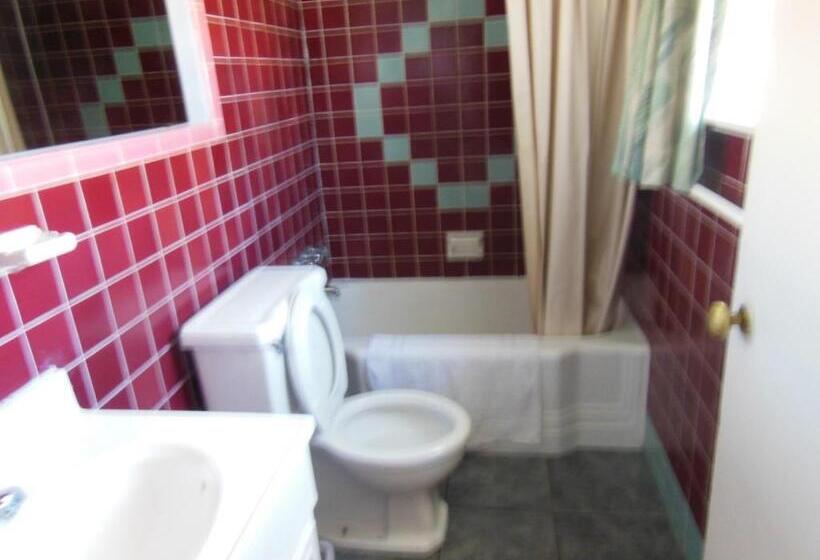 带2个双人床的标准工作室, Kent Motel