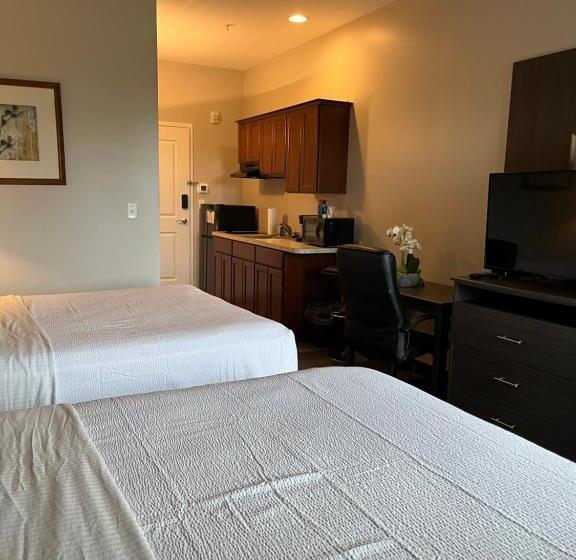 디럭스 룸, Brinton Suites