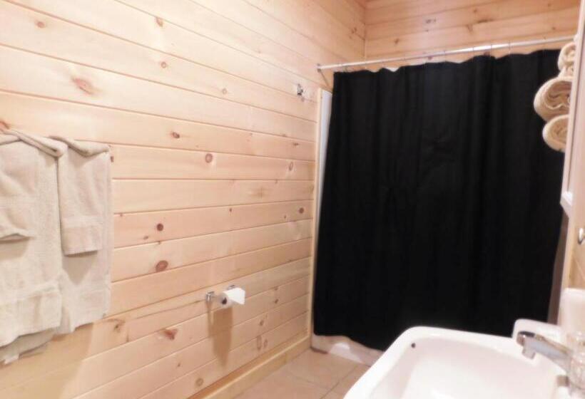 Трехместный Номер Базовый, Olympian Resort Motel
