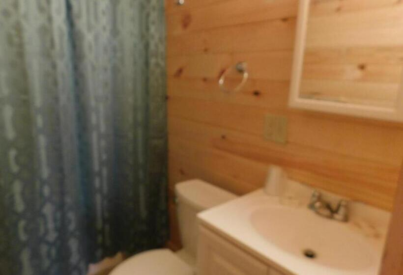 Люкс 3 Спальни, Olympian Resort Motel