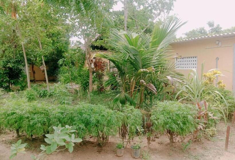 Номер Стандарт Вид на Сад, En Harmonie Auroville  Aala