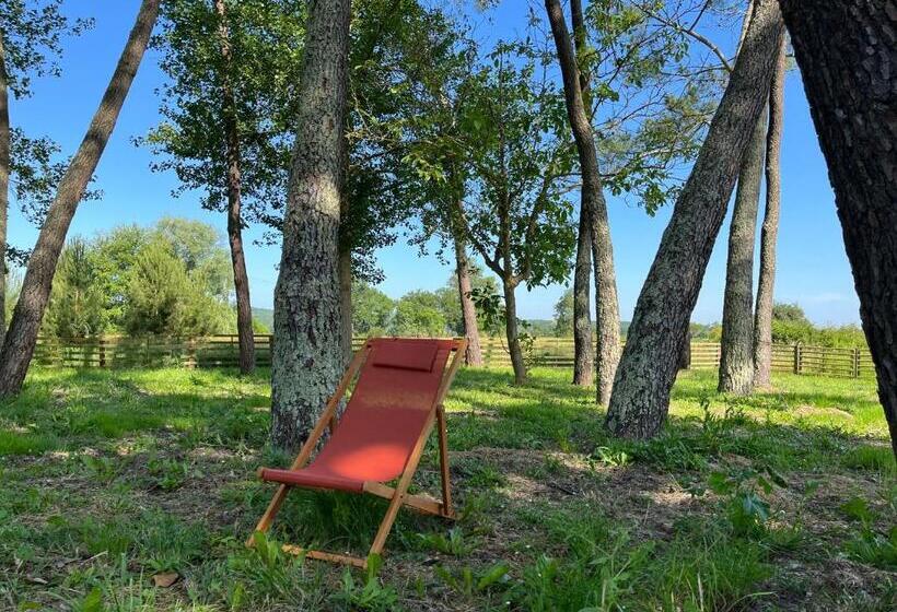 Номер Стандарт Вид на Сад, Hózhó Tempo   Sous Les Pins, Bed & Breakfast écofriendly & Slowlife Avec Sauna