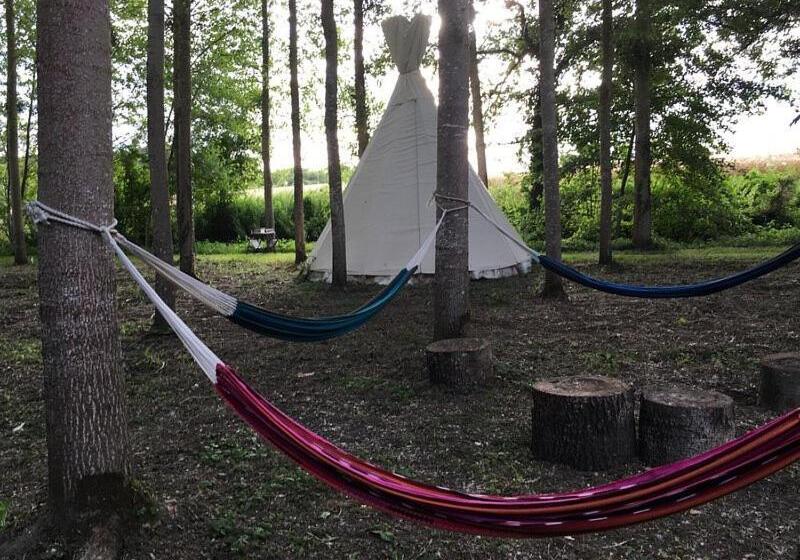 Standard Tent, Au Chat Qui Pêche