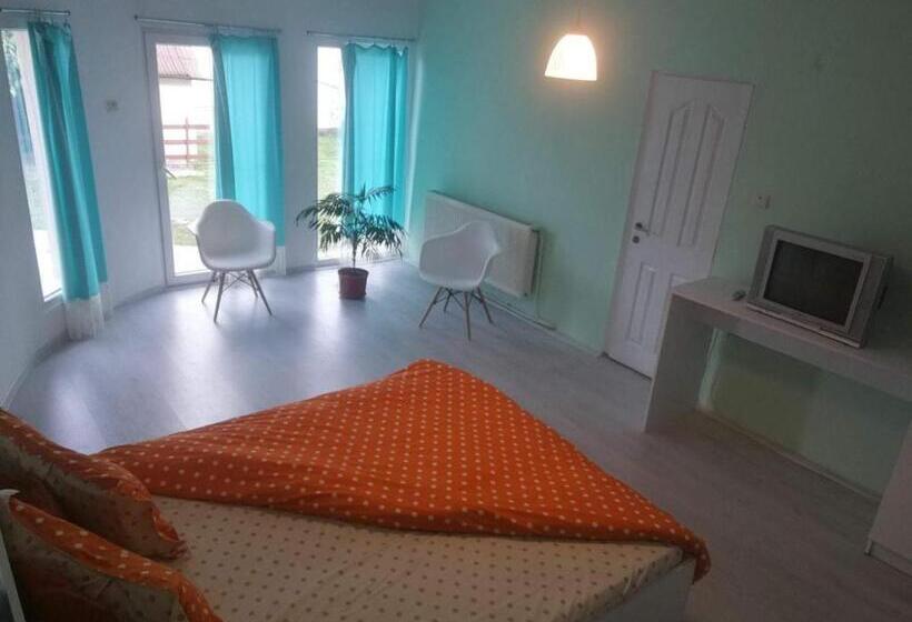 اتاق استاندارد با تخت بزرگ, Vila Roy