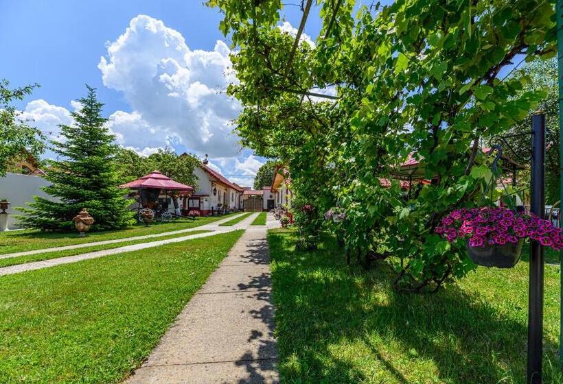 Номер Стандарт, Pensiunea Roma Antica