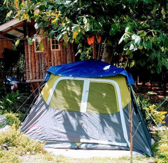Standard Tent, Stay N Save B&b