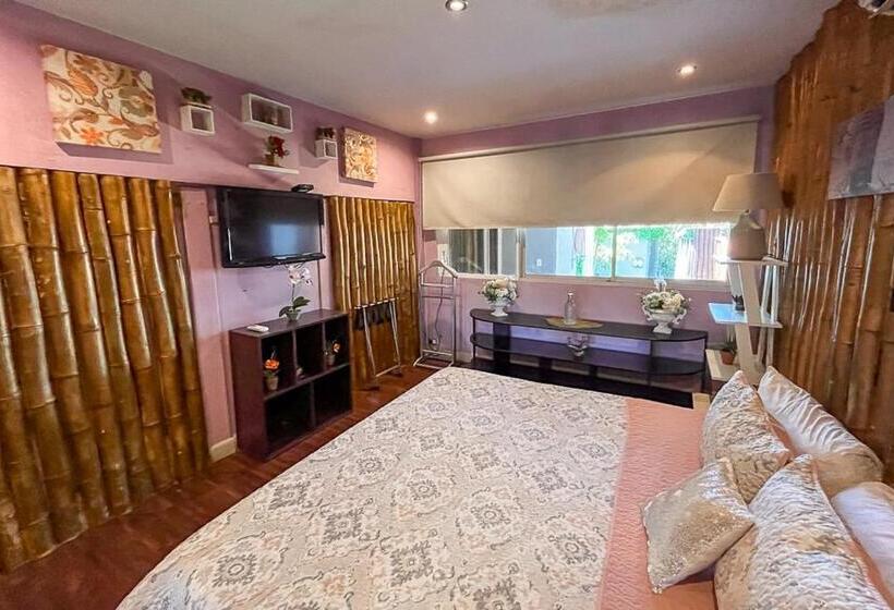 Люкс Повышенной Комфортности, Bambú Lodge San Jose Airport