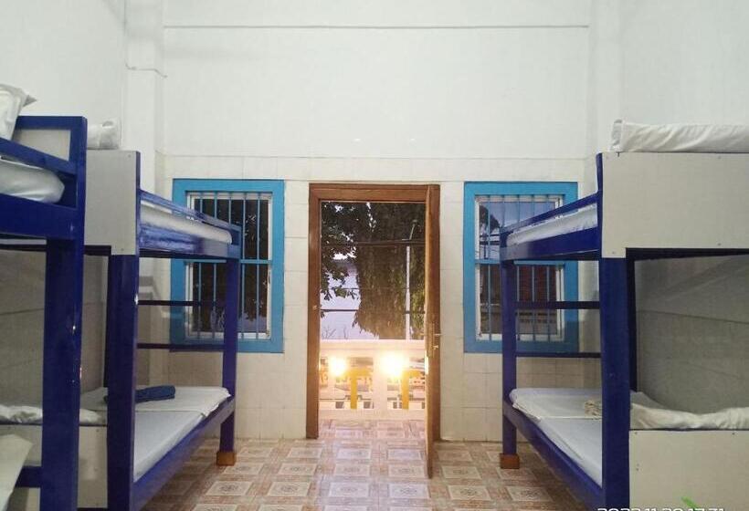 سرير فى غرفة مشتركه, Silver Dolphin Guesthouse & Restaurant