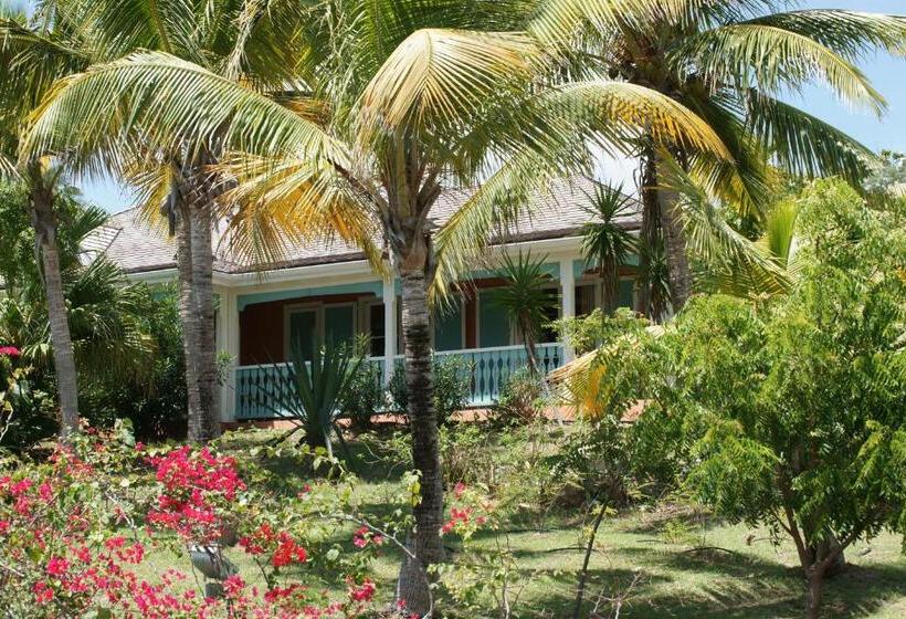 سوییت, La Plantation