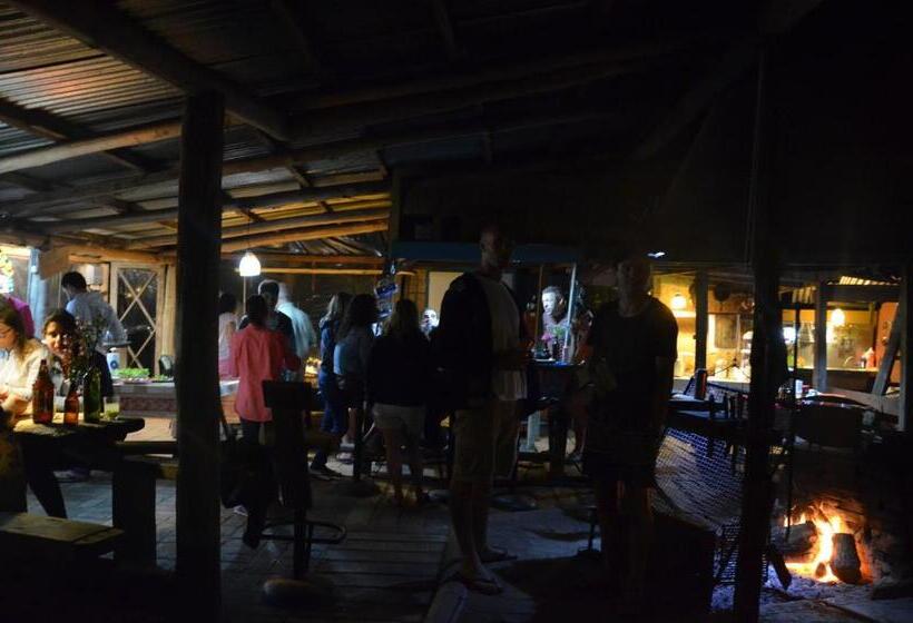 공동 객실, La Brújula Hostel