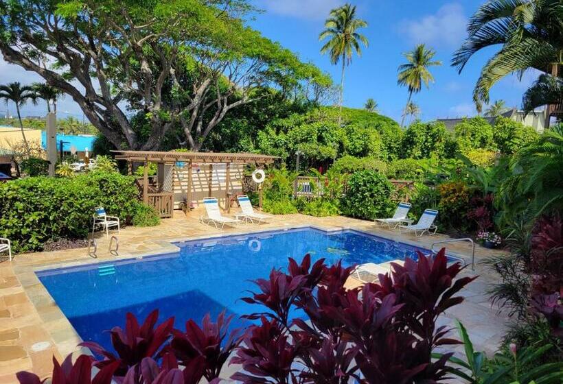 Апартаменты 1 Спальня Вид на Море, Stunning Oceanfront Condo   The Seashore Hideaway, Wailua Bay View, Unit 208, Kapaa