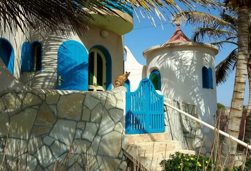 اتاق استاندارد با چشم‌انداز دریا, Torre Sabina