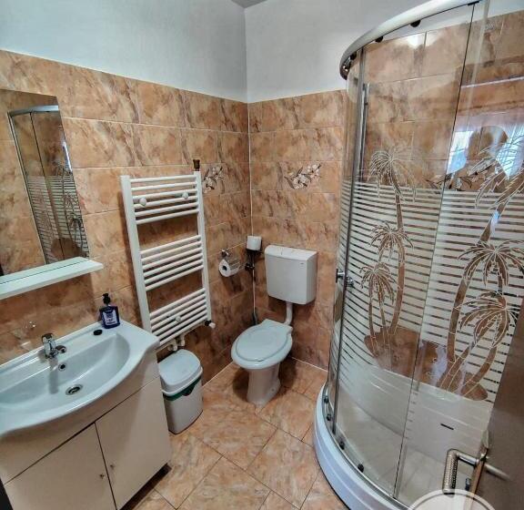 Номер Стандарт, Casa Cosmin Cincu
