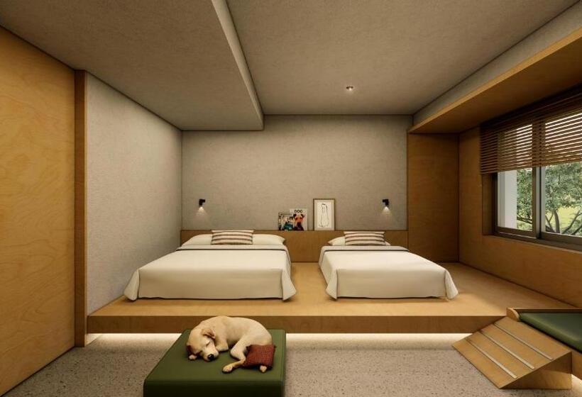 Номер Deluxe, Kinock   Pet