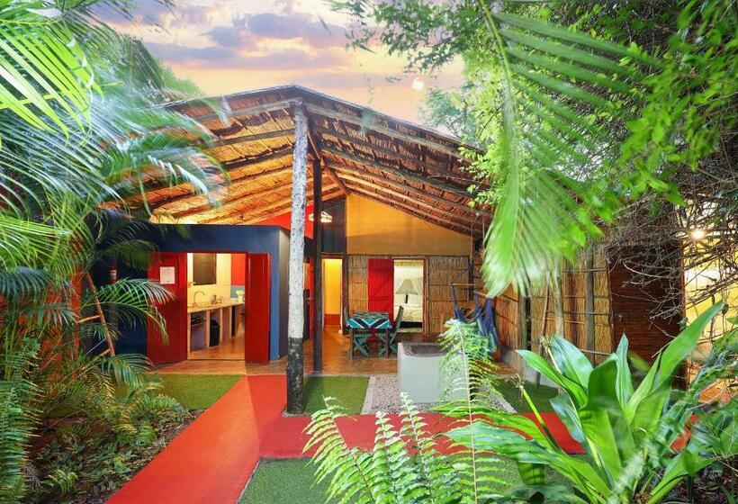 스탠다드 방갈로, Gala Gala Eco Resort