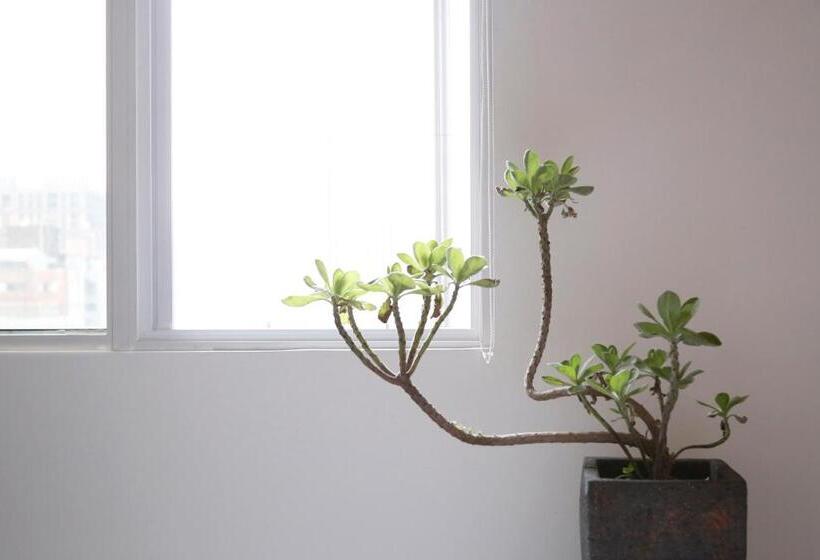 اتاق کلاسیک چهارنفره, Chill Roof