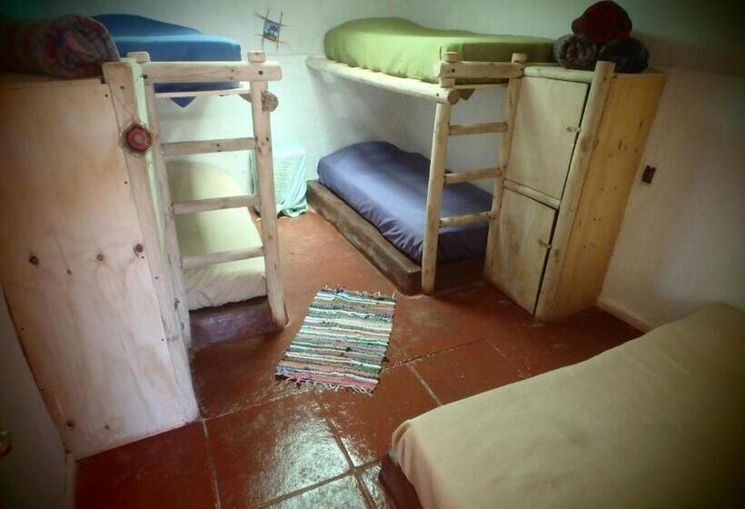 تختخواب در اتاق مشترک, Aji Verde Hostel San Pedro