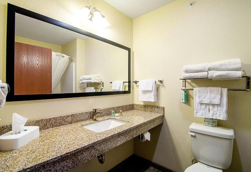キングサイズベッドのスタンダードルーム, Cobblestone Hotel & Suites   Paxton