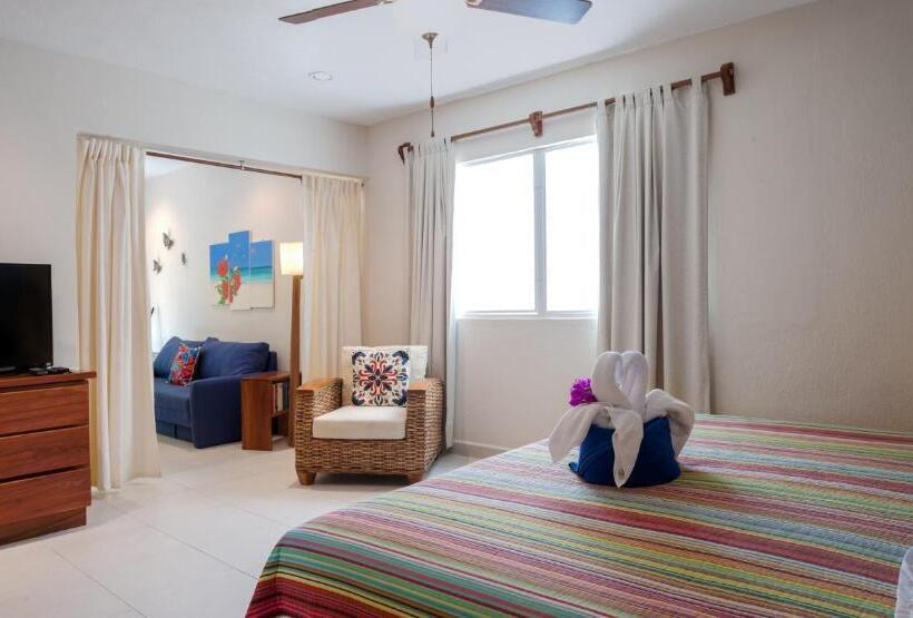 استودیو استاندارد با تخت کینگ, Abbey Del Sol