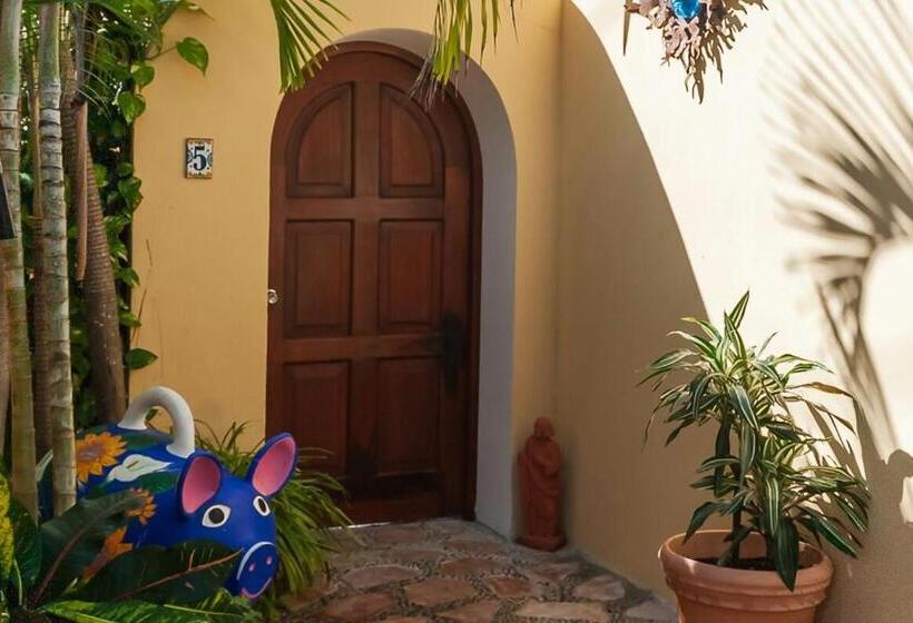 استودیو استاندارد با تخت کینگ, Abbey Del Sol