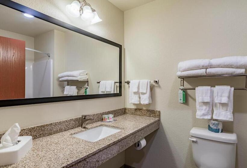 스위트 킹사이즈 침대, Cobblestone Inn & Suites   Lamoni