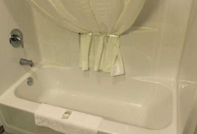 デラックスルーム, Cobblestone Inn & Suites   Lamoni