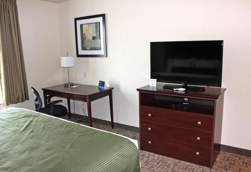 キングサイズベッドのデラックスルーム, Cobblestone Inn & Suites   Lamoni