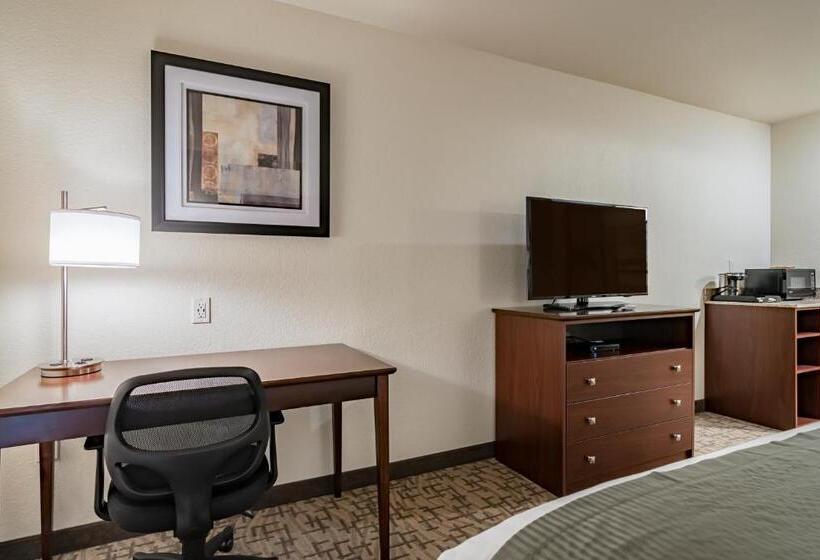 스탠다드 룸 킹사이즈 침대, Cobblestone Inn & Suites   Lamoni