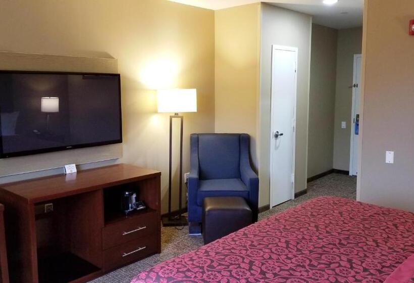 Номер Стандарт Кровать Кинг Адаптированный для Инвалидов, Days Inn By Wyndham Brooklyn Marine Park