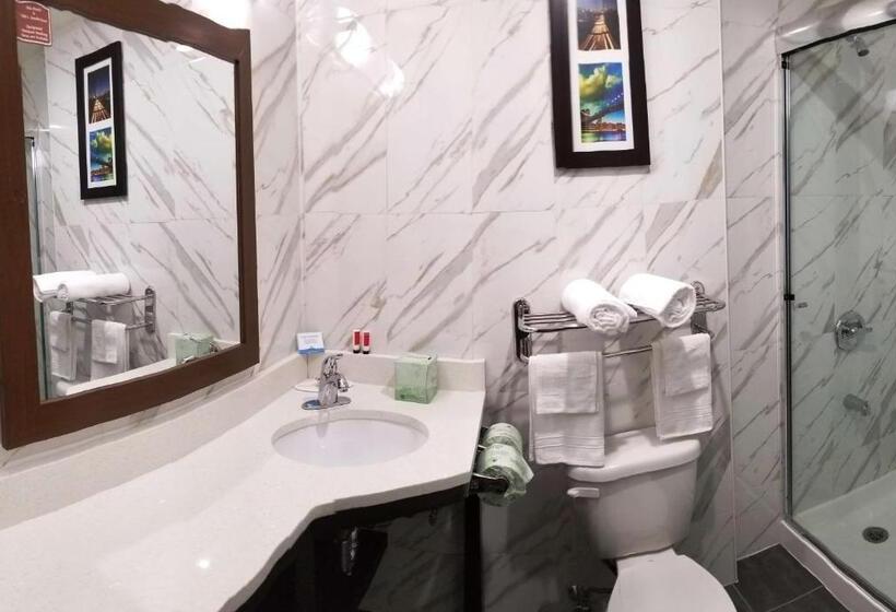 Номер Стандарт Кровать Кинг Адаптированный для Инвалидов, Days Inn By Wyndham Brooklyn Marine Park