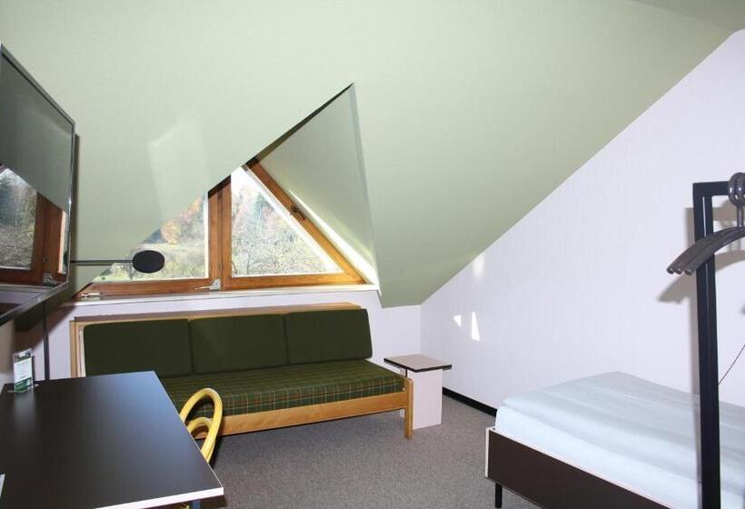 اتاق استاندارد یک نفره, Gastehaus St Theresia Bodensee