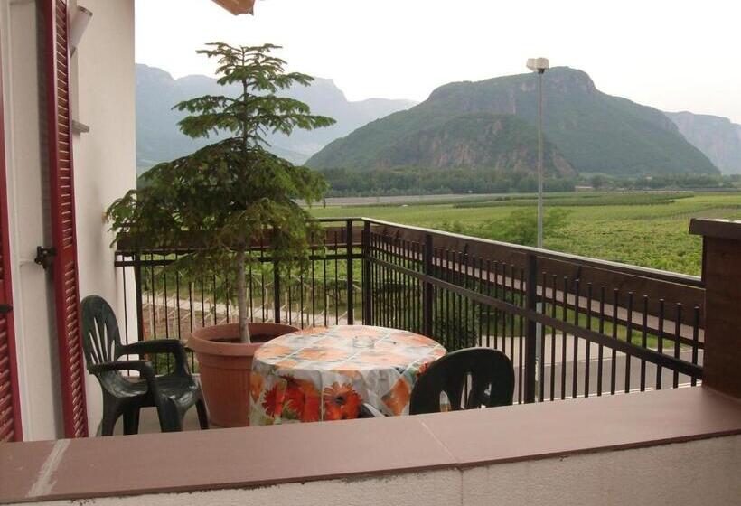 标准单人间, Gasthaus Pension Flora