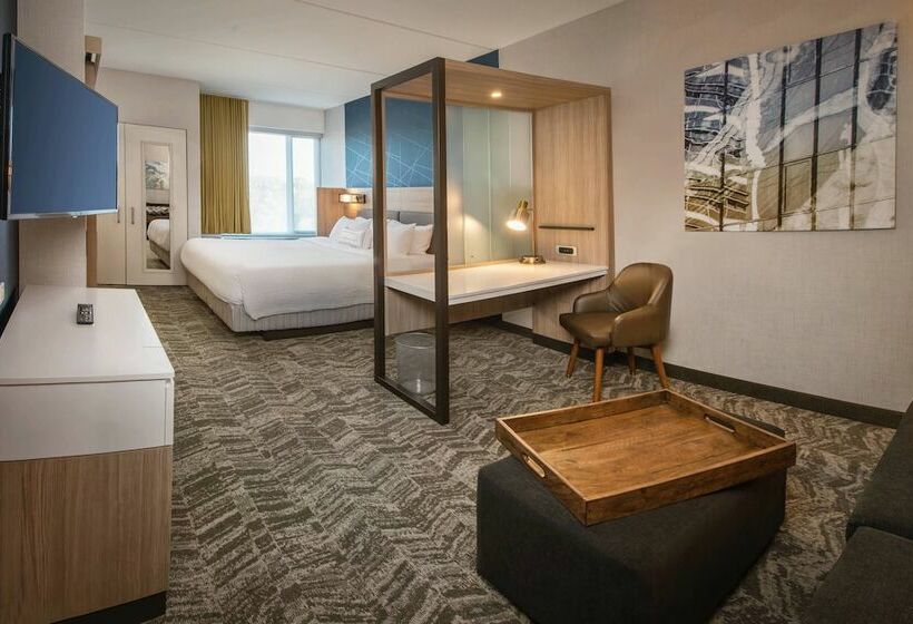 Люкс, Springhill Suites By Marriott Gainesville Haymarket