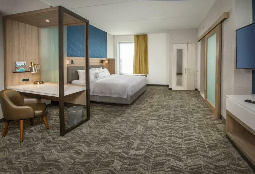 Люкс, Springhill Suites By Marriott Gainesville Haymarket