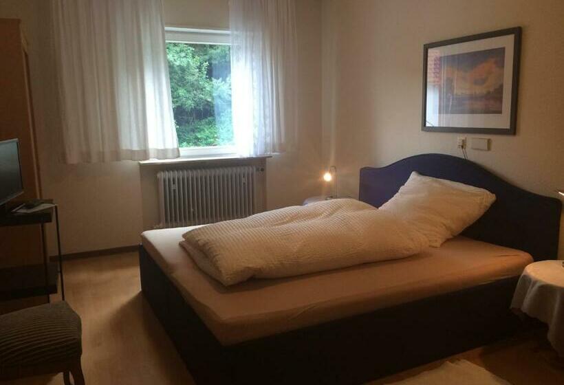 Номер Стандарт Индивидуальный, Icc Pfälzer Hof   Hotel & Seminarhaus