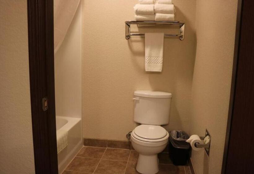 Студия Стандарт, Cobblestone Inn & Suites  Maryville