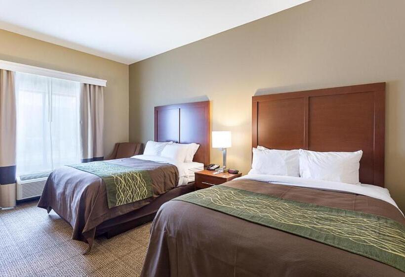 Номер Стандарт, Comfort Inn & Suites Zachary