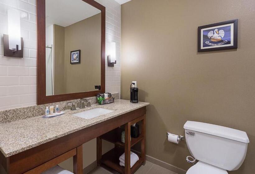 Номер Стандарт, Comfort Inn & Suites Zachary