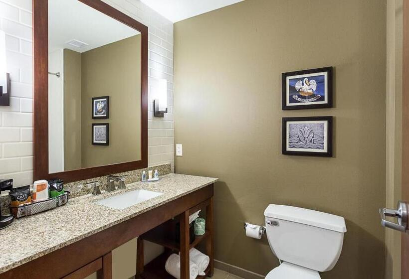 Стандартный Номер Кровать Кинг, Comfort Inn & Suites Zachary
