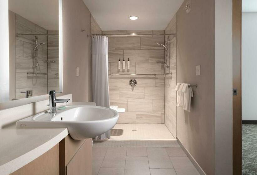 스위트 킹사이즈 침대, Springhill Suites By Marriott Dallas Rockwall
