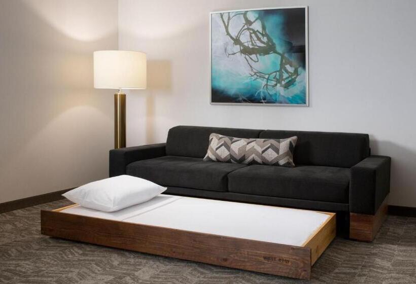 스위트, Springhill Suites By Marriott Dallas Rockwall