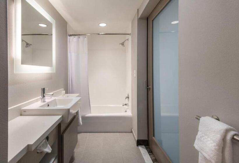 장애인을 위한 스위트, Springhill Suites By Marriott Dallas Rockwall