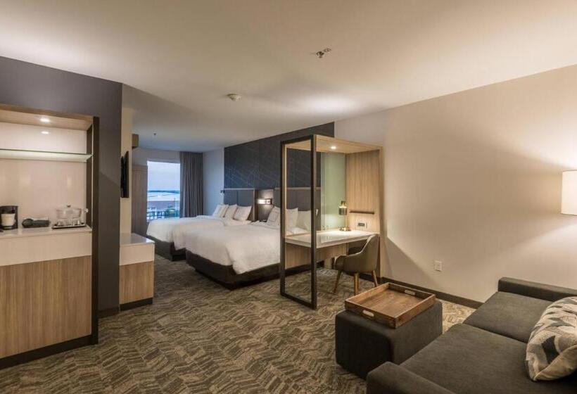 장애인을 위한 스위트, Springhill Suites By Marriott Dallas Rockwall