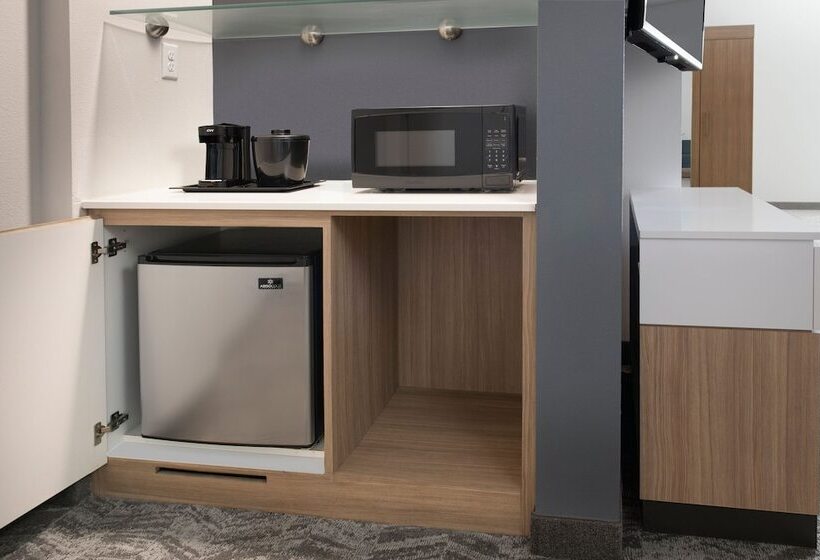 장애인을 위한 스위트, Springhill Suites By Marriott Dallas Rockwall