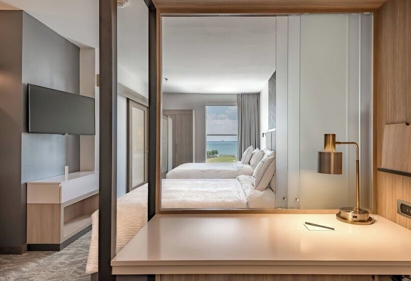장애인을 위한 스위트, Springhill Suites By Marriott Dallas Rockwall
