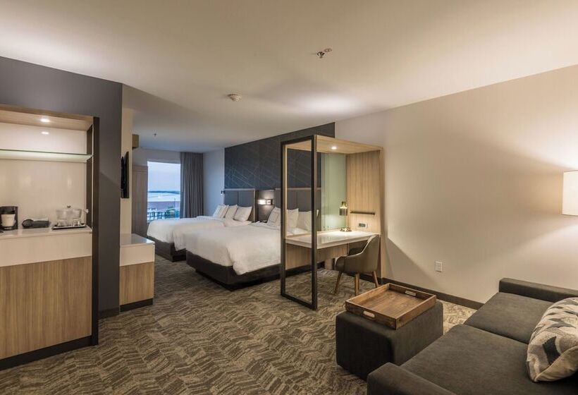 장애인을 위한 스위트, Springhill Suites By Marriott Dallas Rockwall