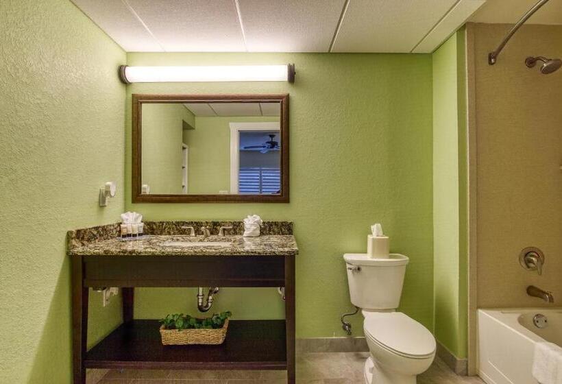 プールの見える１ベッドルームアパートメント, New Hotel Collection Harbourside