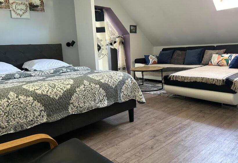 Апартаменты 1 Спальня, Hôtel Saint  Charles