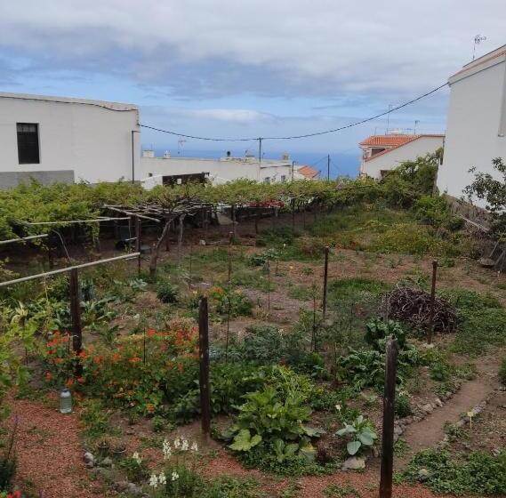 高级大房间, Un Jardin Al Mar
