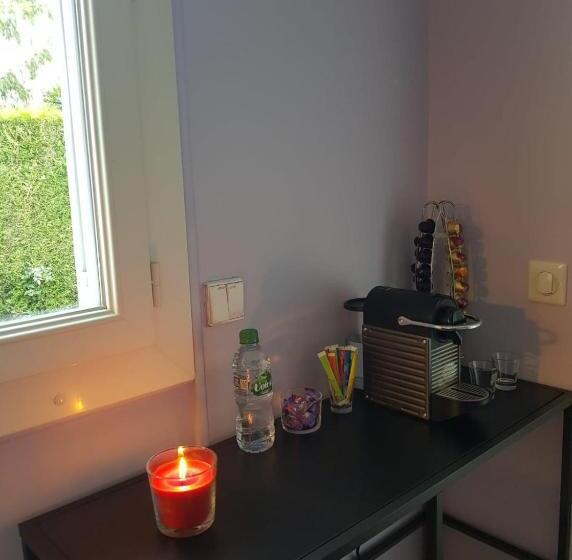 Номер Стандарт Вид на Сад, Chambre Proche Astérix, Parc Expo Villepinte, Cdg, Bourget